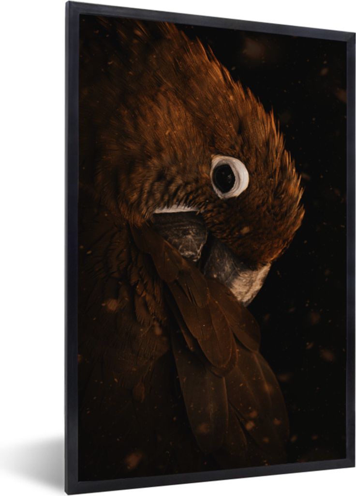 MuchoWow Gerahmtes Poster Papagei - Vogel - Federn 20x30 cm - Poster mit Schwarzem Bilderrahmen Wandposter Rahmen Foto Bilder - Drucken - Bilder ...