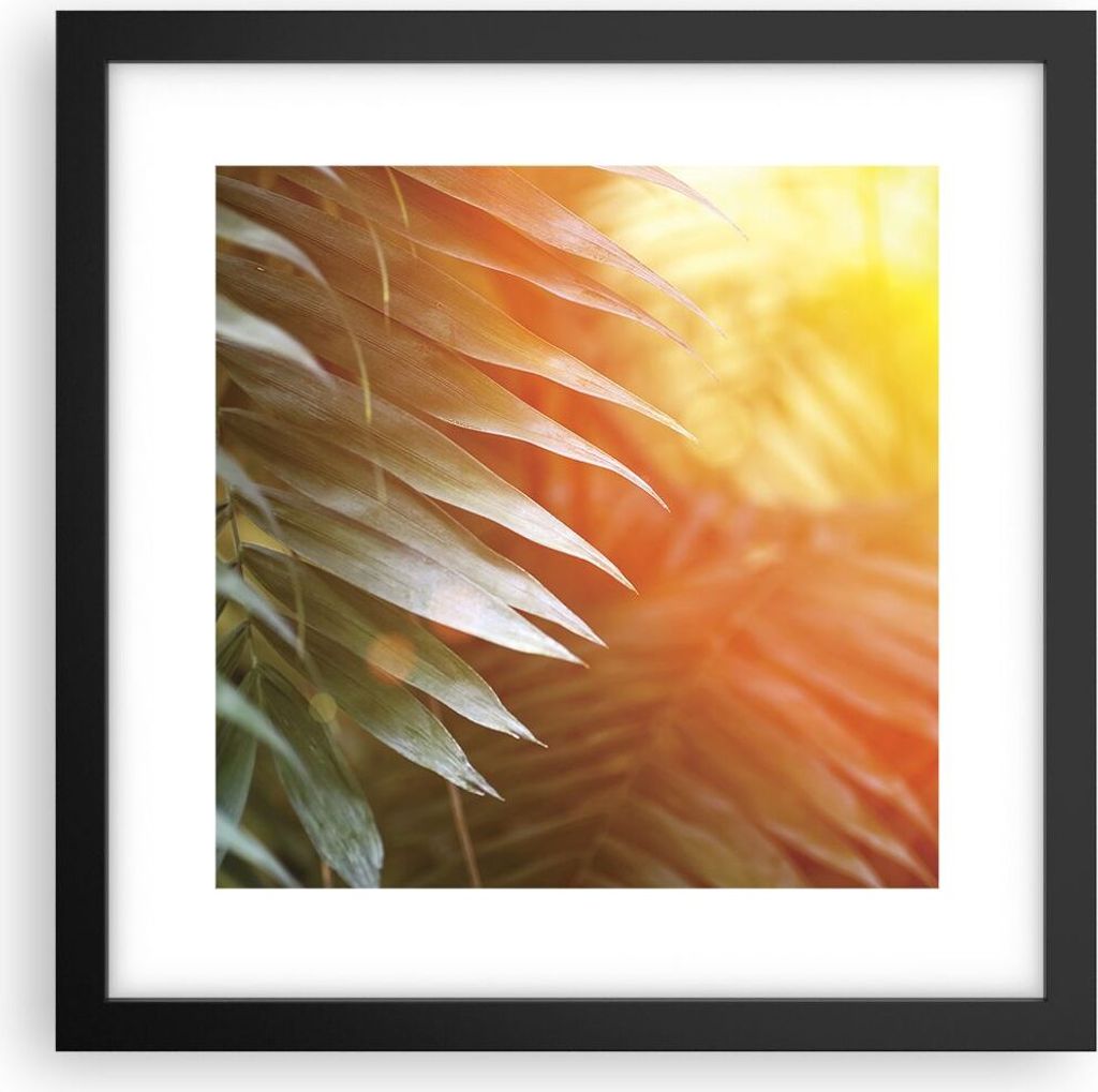 Gerahmtes Poster - Schwarzer Rahmen - Exotisch Blätter Dämmerung - 30x30 cm - Wand Bild - Wanddeko - Wandbilder - Kunstposter - Wandposter - Bild...