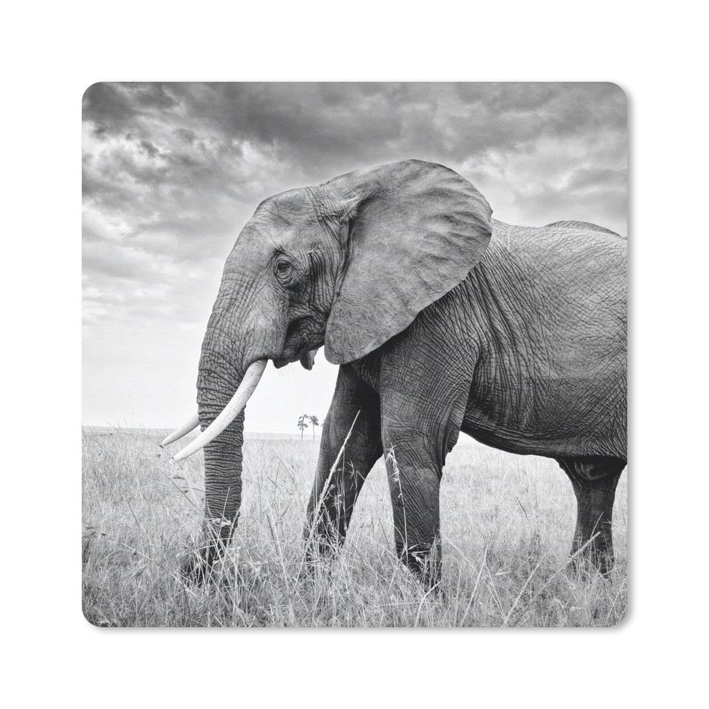 MuchoWow Mauspad Mousepad Elefant - Gras - Tiere - Schwarz und weiß 20x20 cm - Mousepads - Maus Mat - Pad - Mausunterlage - Desk Mat - Bureauart...