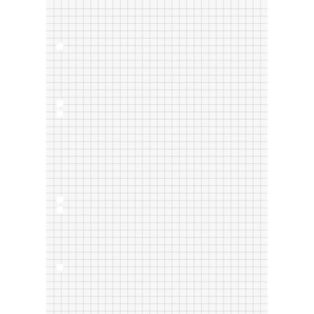 BRUNNEN 1066332 Inserti per raccoglitori ad anelli, A5, a Immagine del prodotto 