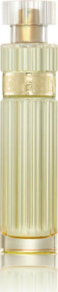 Premiere Luxe Eau de Parfum 50 ml - Le Parfum Tenace pour Femme Active