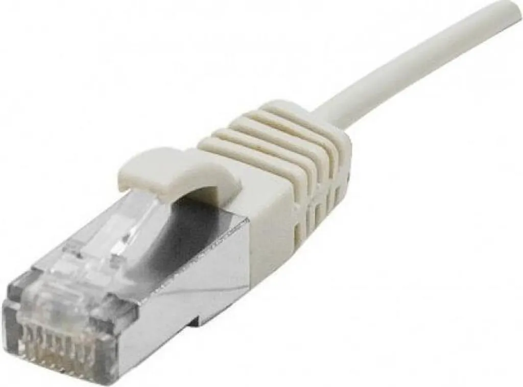 Câble Ethernet Dexlan Câble de raccordement Cat6 pour Bureautique Pro