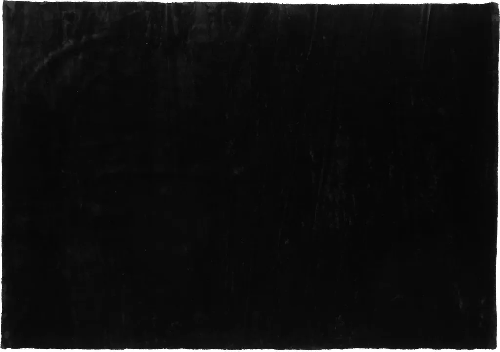 Tapis de salon noir Nina 200x300 cm - Masquez les Défauts de votre Sol