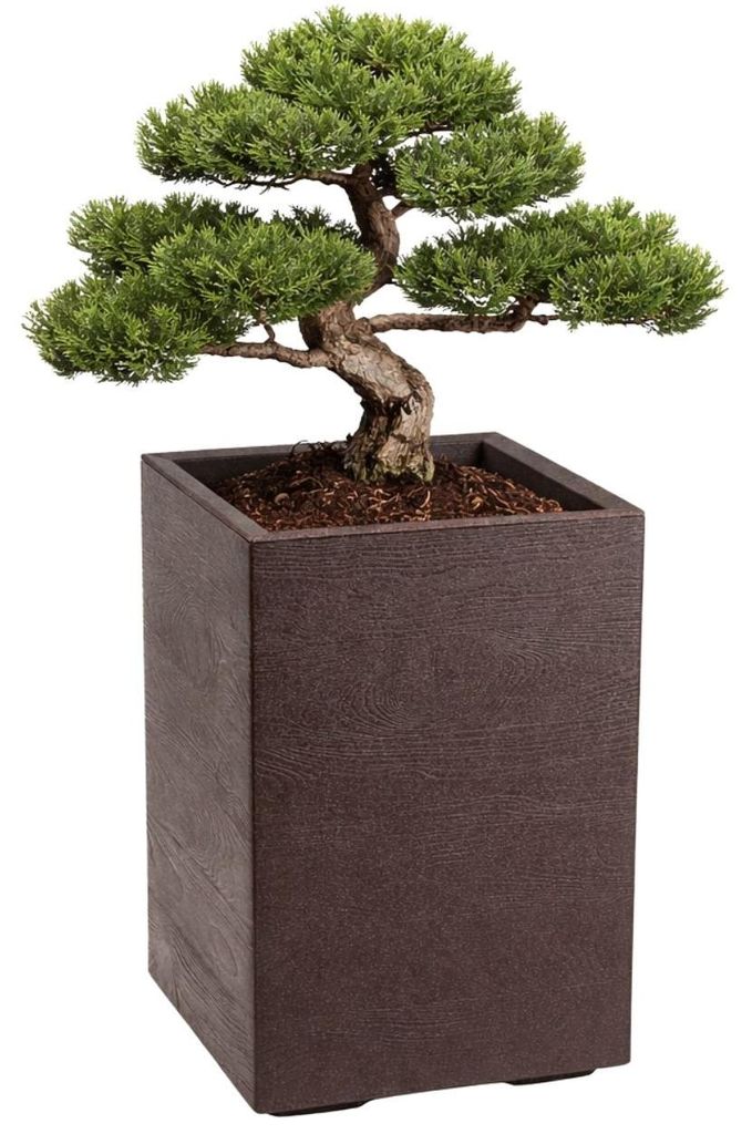 HowHomely | Pflanzentopf - Blumenkübel - braun - 60x40x40 Produktbild 