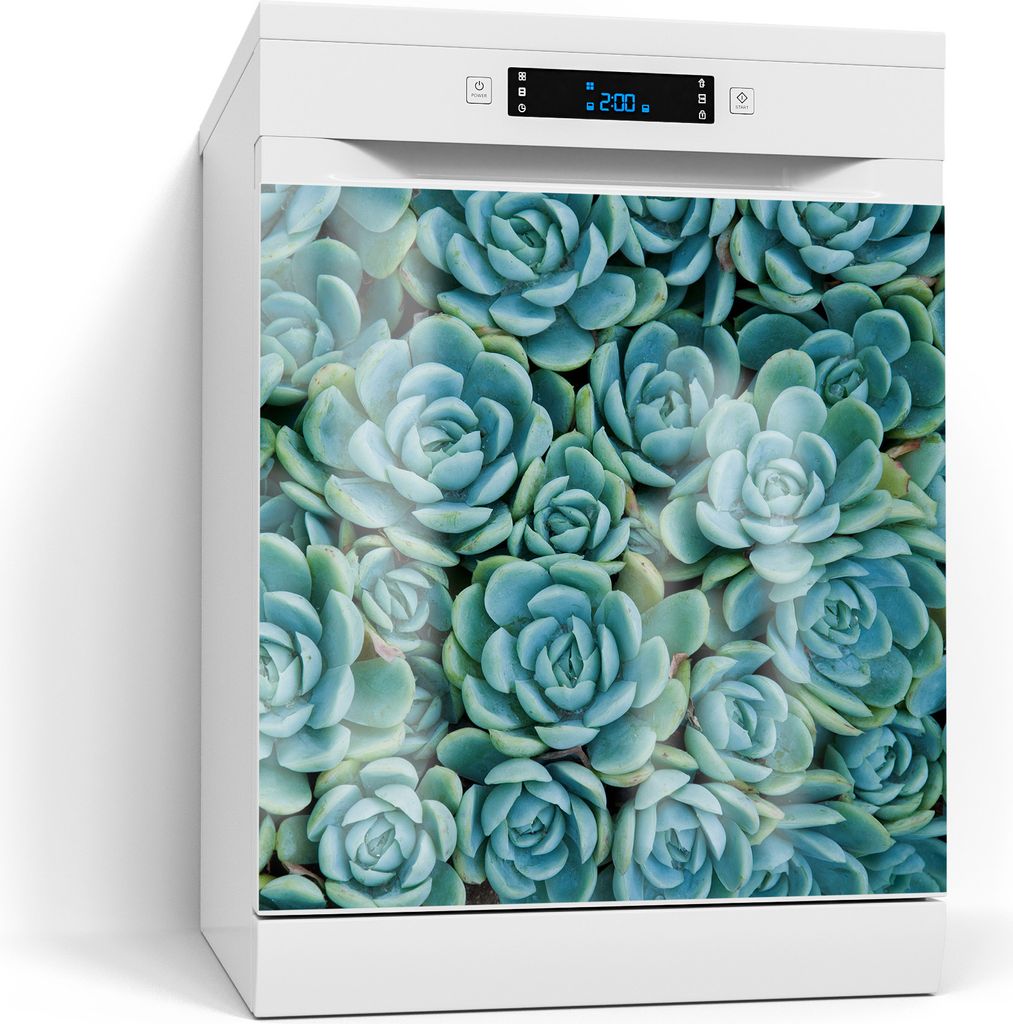 DEQORI Magnetmatte Spülmaschine Standard 60x60 cm 'Sukkulente Symmetrie' Magnetfolie