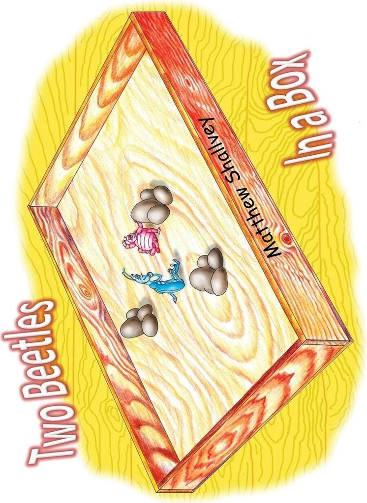 Two Beetles In a Box - Hardcover
