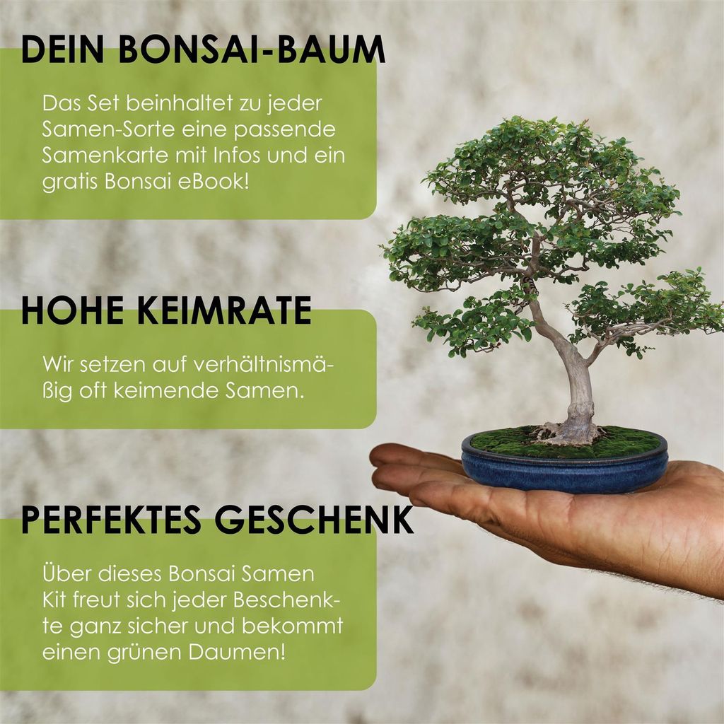 bambus wie düngen ProviPlant Bambus-Dünger: Stickstoffbooster für Bambus & Gräser main image 0