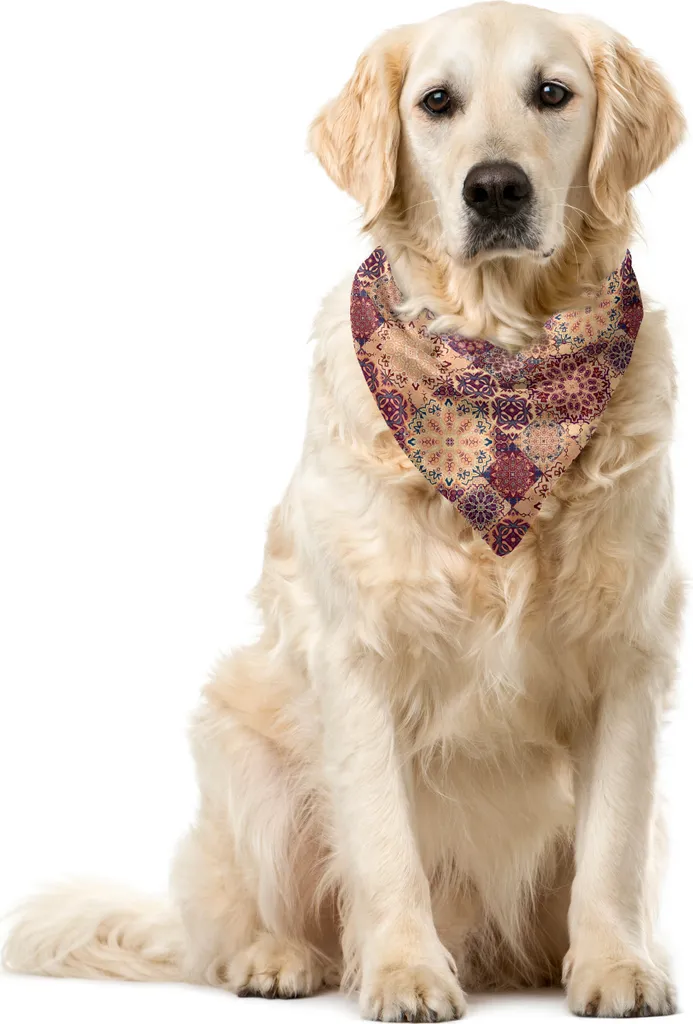 Bandana per Cani ABAKUHAUS Arancio e Blu - Accessorio Dolce Pet