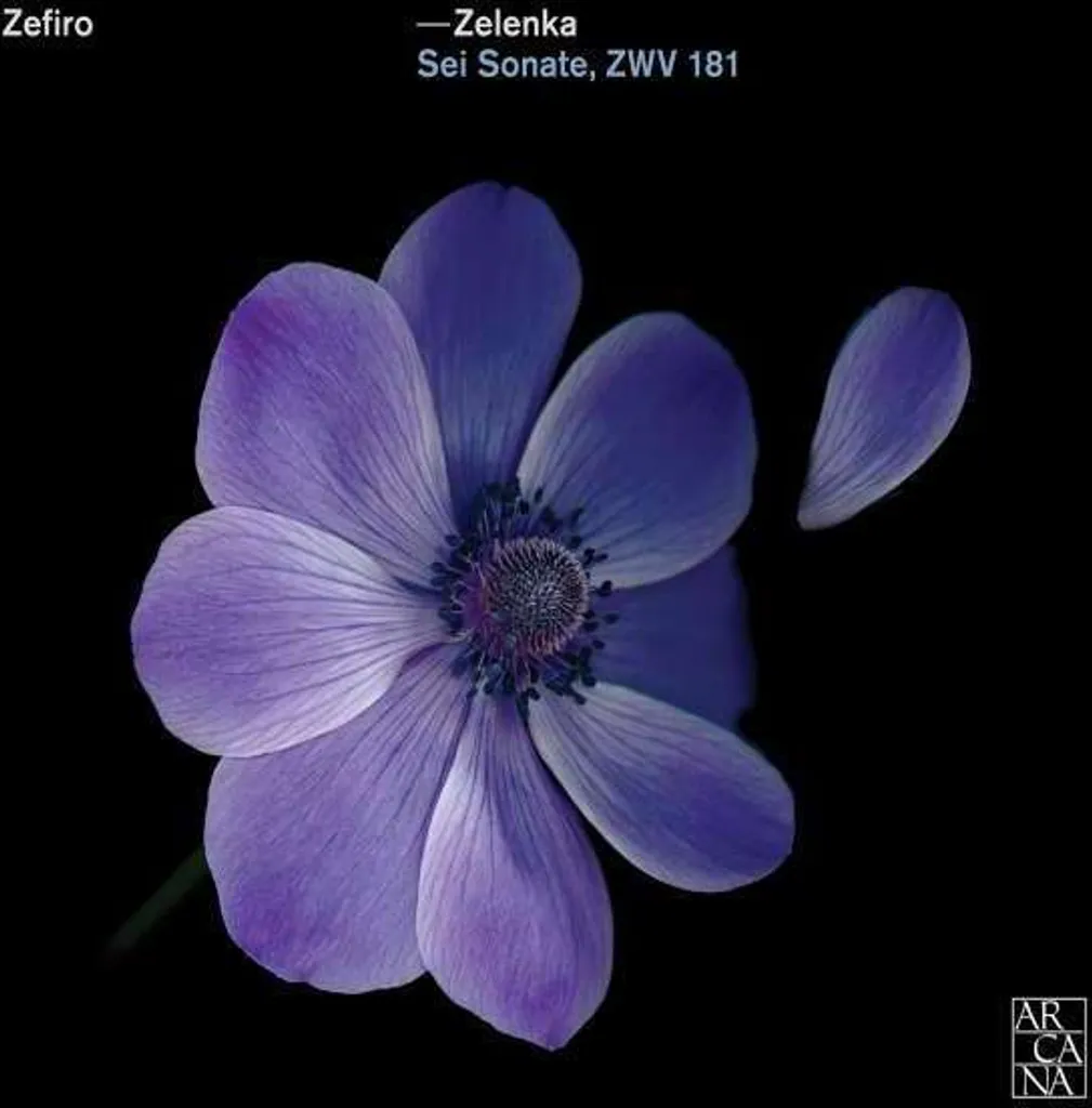 Disque Six Sonates ZWV 181 Zefiro pour écoute audiophile haute fidélité