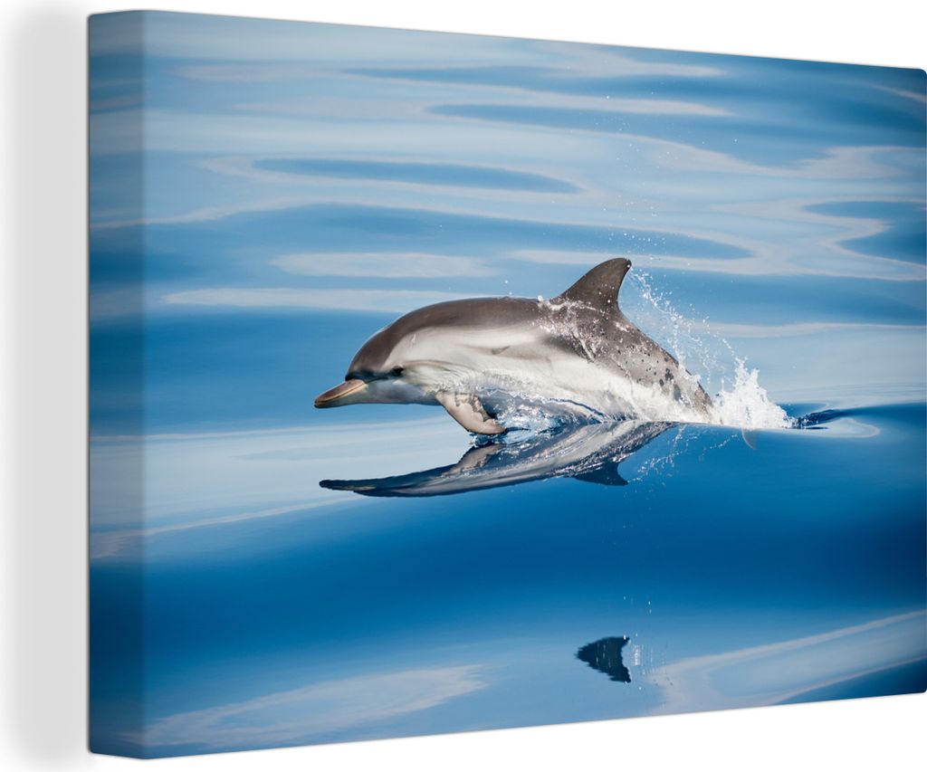OneMillionCanvasses - Leinwandbilder - 140x90 cm, Delfin - Wasser - Tiere, Wandbilder Kunstdruck Wanddekoration