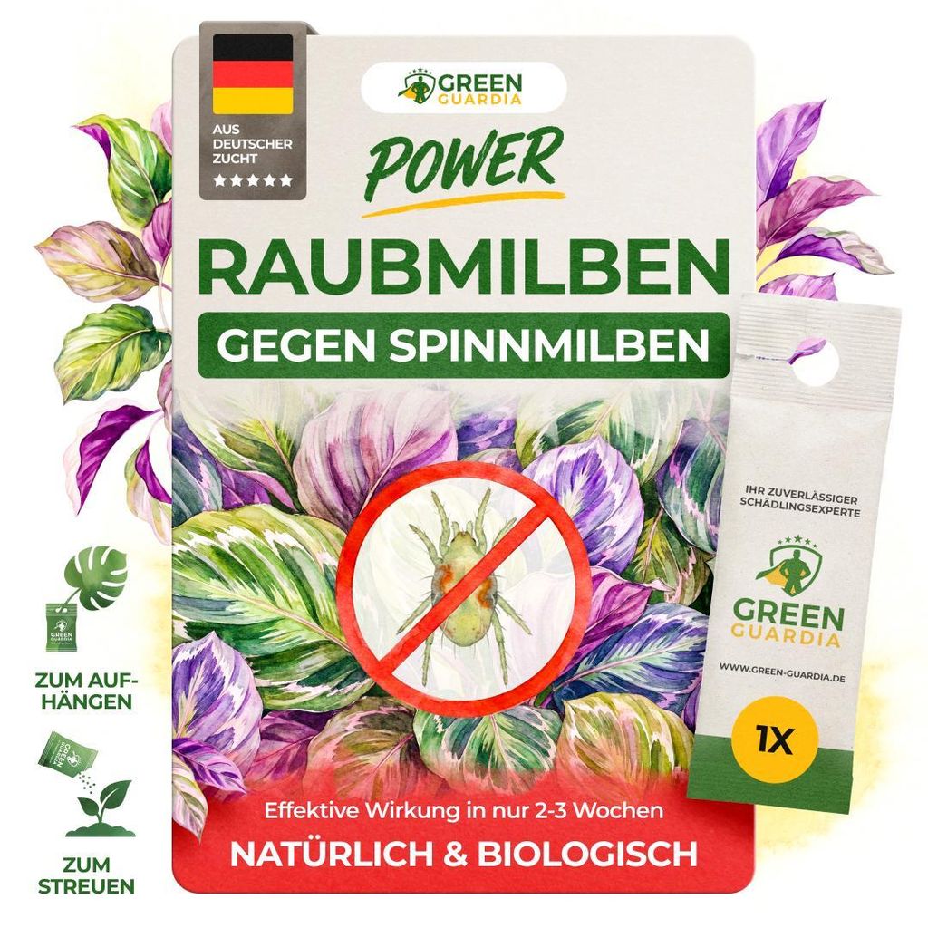 Power Raubmilben gegen Spinnmilben – 1 Tüte - Biologisches Produktbild 