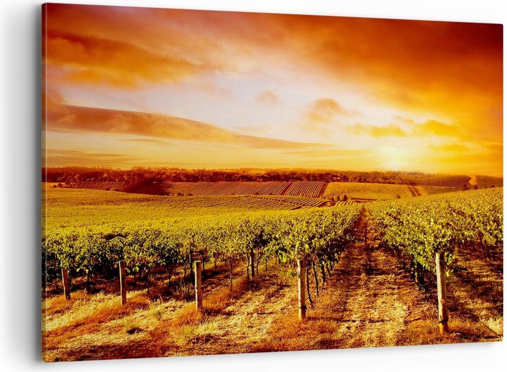 Bild auf Leinwand - Leinwandbild - Weinberg Aussicht Landschaft - 120x80cm - Wand Bild - Wanddeko - Leinwanddruck - Bilder - Kunstdruck - Wanddekor...