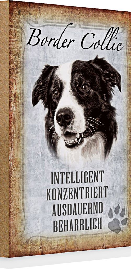Holzschild Spruch 20x30cm Border Collie Hund