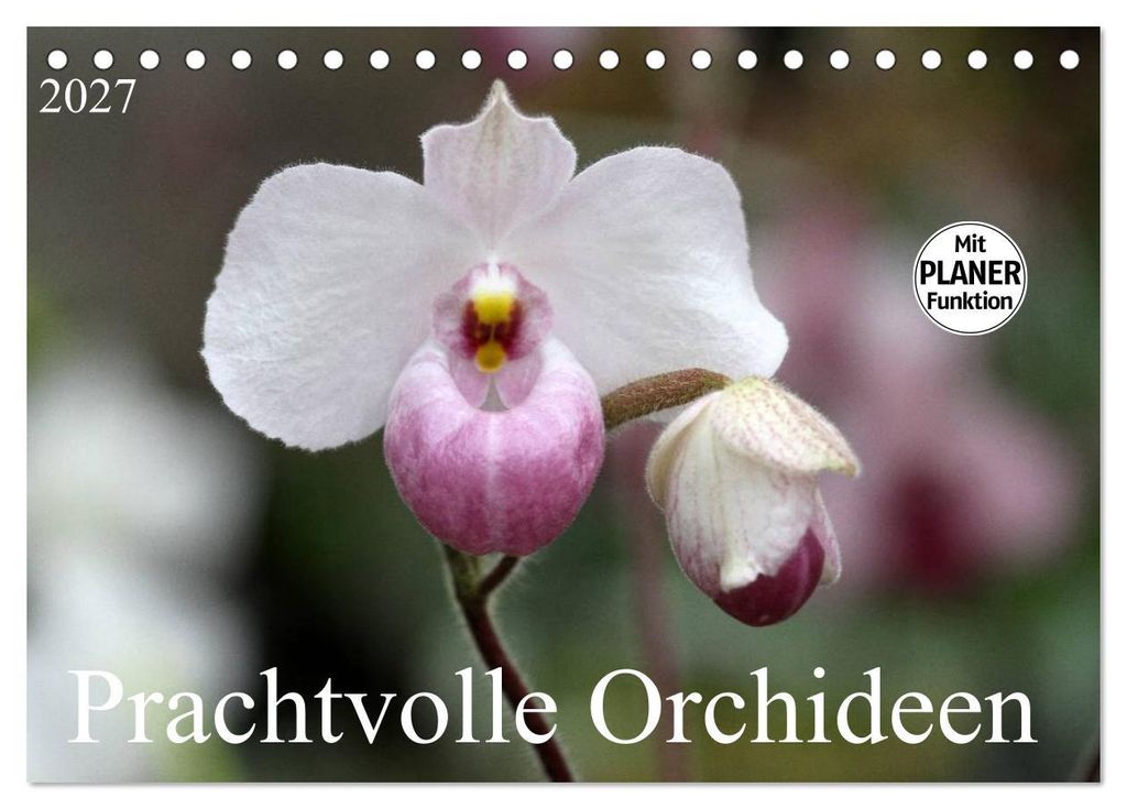 Prachtvolle Orchideen (Tischkalender 2027 DIN A5 quer), CALVENDO Monatskalender