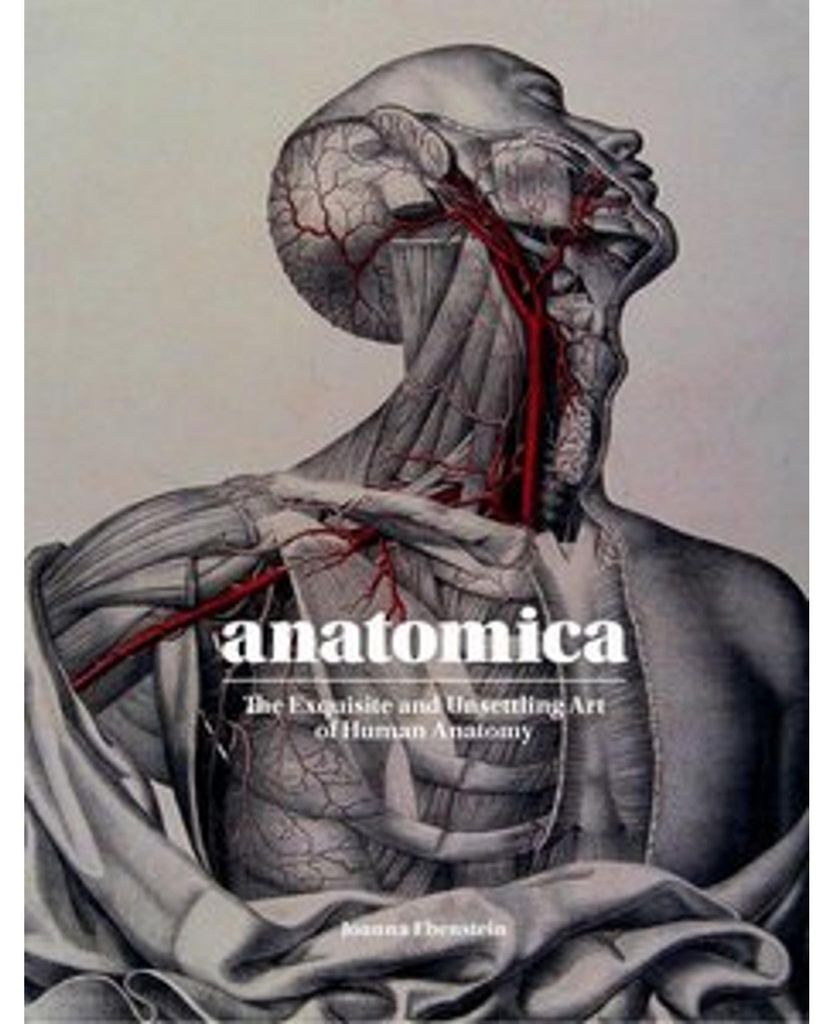 Anatomica