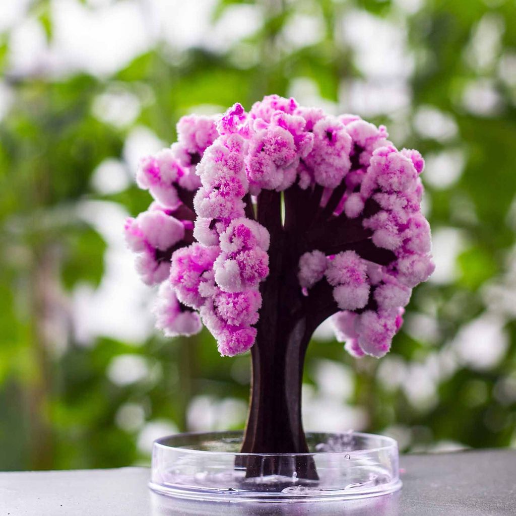 thumbsUp! Magic Sakura, A0000728 Produktbild 