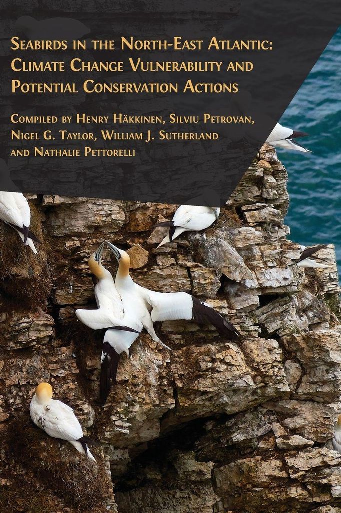 Seabirds In The North-east Atlantic – Lingua: Inglese
