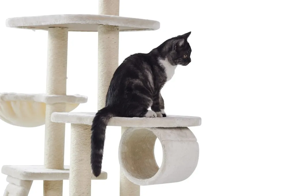 Arbre à Chat Nobby Dilan : Finis les Griffes sur le Canapé - Crème - 5