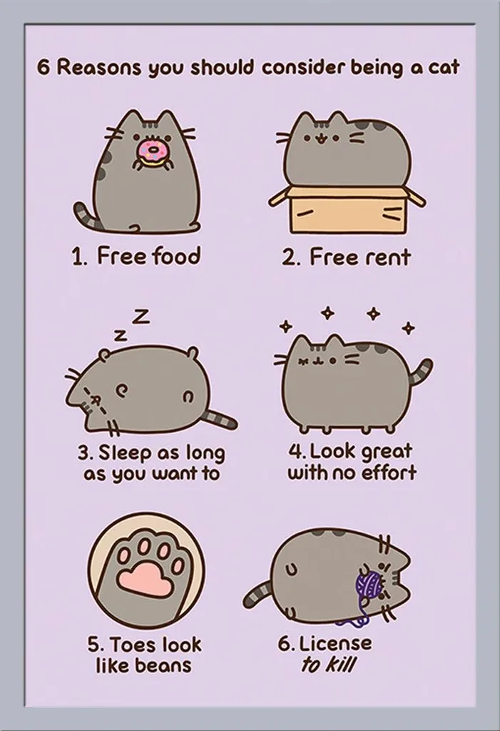 Pusheen - Poster - Reasons to be a Cat + cornice rimovibile, Shinsuke® Maxi MDF argento, vetro acrilico