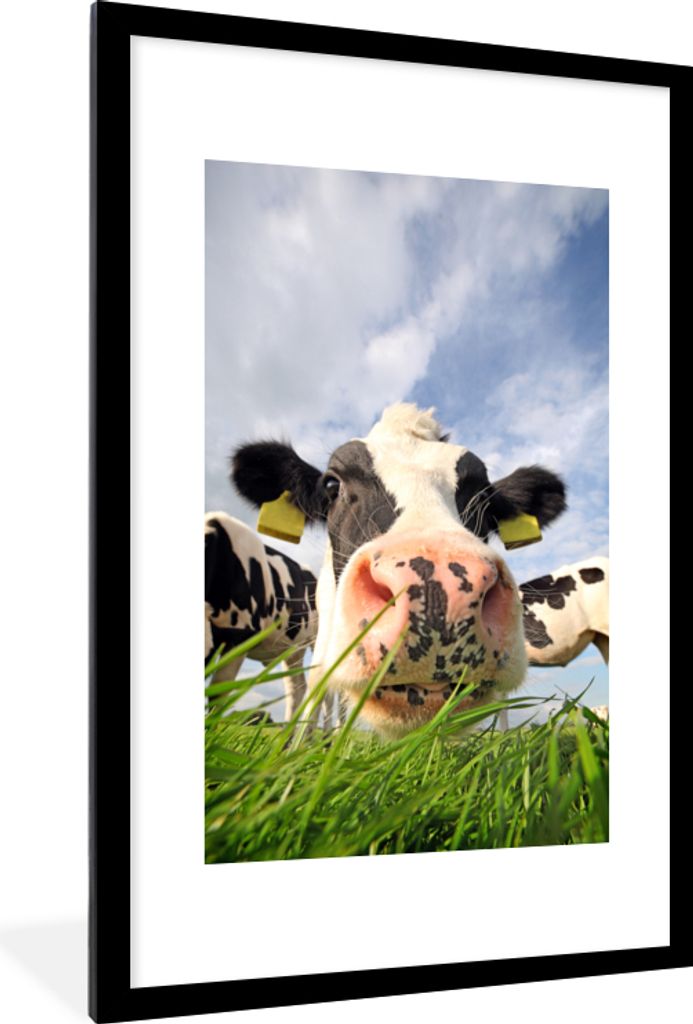 MuchoWow Gerahmtes Poster Kuh - Bauernhof - Gras - Tiere 60x90 cm - Poster mit Schwarzem Bilderrahmen Wandposter Rahmen Foto Bilder - Dekoration ...
