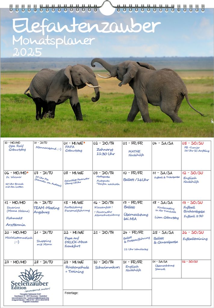 Elefantenzauber Planer DIN A3 Kalender für 2025 Elefanten - Seelenzauber