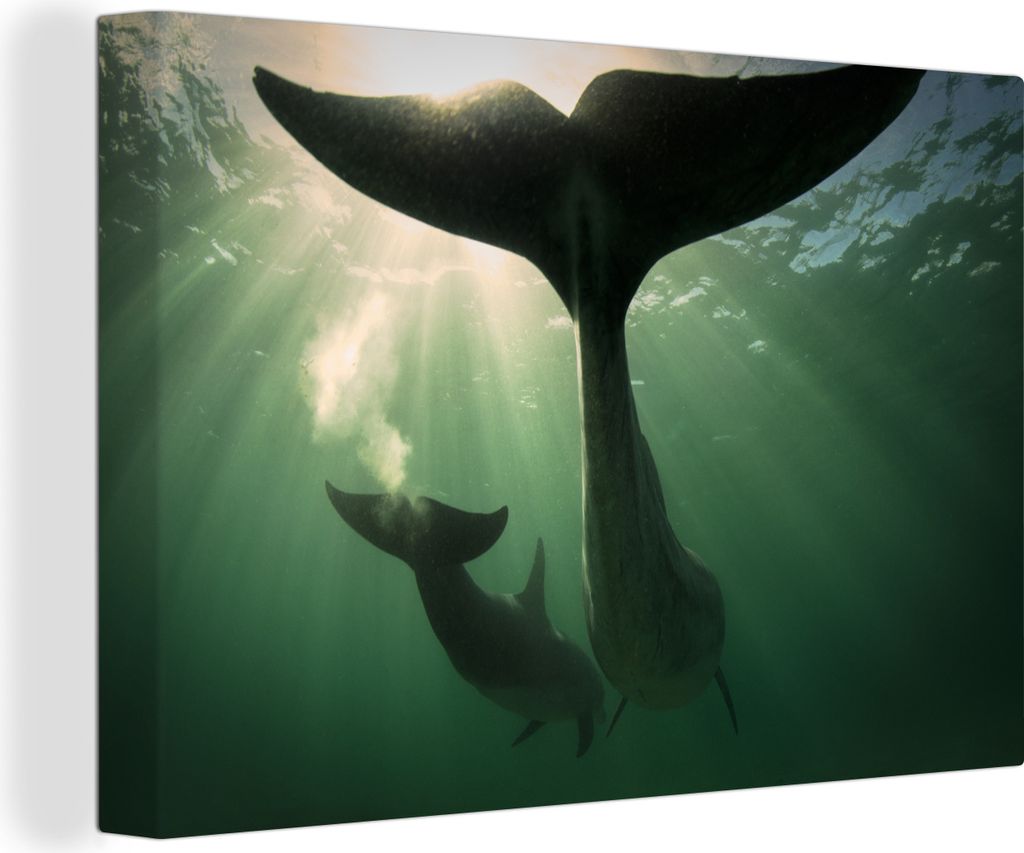 OneMillionCanvasses - Leinwandbilder - 140x90 cm, Delfin - Wasser - Blau, Wandbilder Kunstdruck Wanddekoration