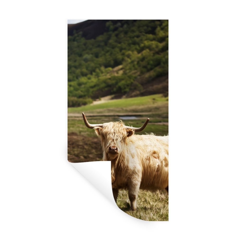MuchoWow Wandtattoo Wandsticker Wandaufkleber Schottische Highlander - Pfad - Wald 40x80 cm Selbstklebend und Repositionierbar - Repositionierbar...