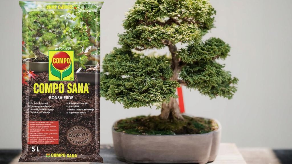 Bonsai Erde Ficus - 5l - Hochwertig - Nhrstoffreich -