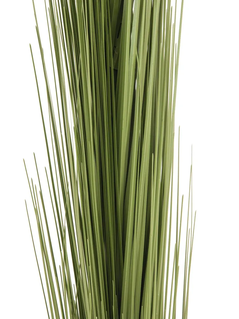 EUROPALMS Erba di canne, artificiale, verde chiaro, 127 cm (82505851)