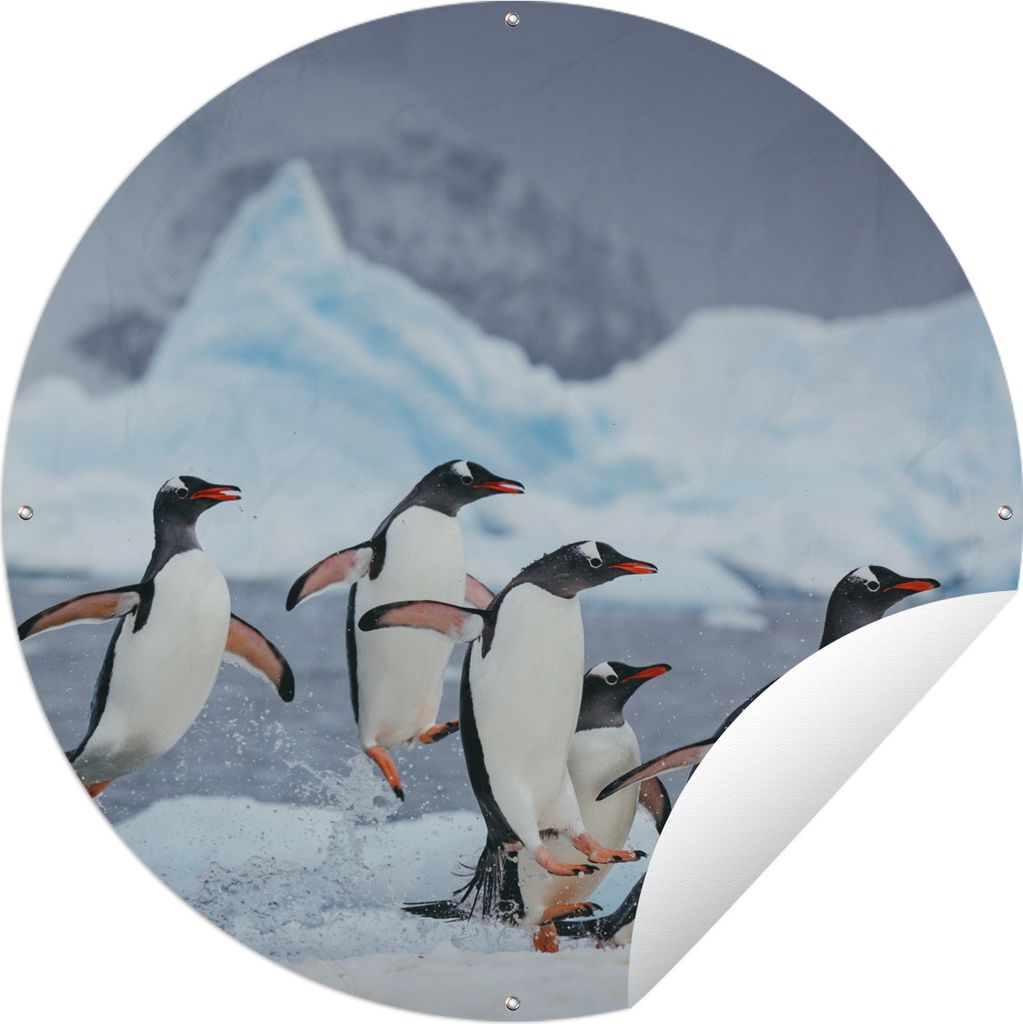 MuchoWow Gartenposter Outdoor-Poster Rund Pinguine springen aus dem Wasser Ø 90 cm Gartendeko Rundes Poster draußen