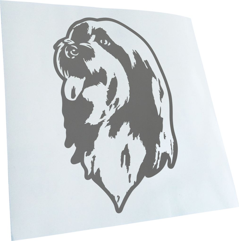 Kiwistar - Autoaufkleber - Bearded Collie Hund - Grau - 50x31cm - Aufkleber für Auto, Laptop, Fahrrad, LKW, Motorrad mehrfarbig JDM Decal Racing