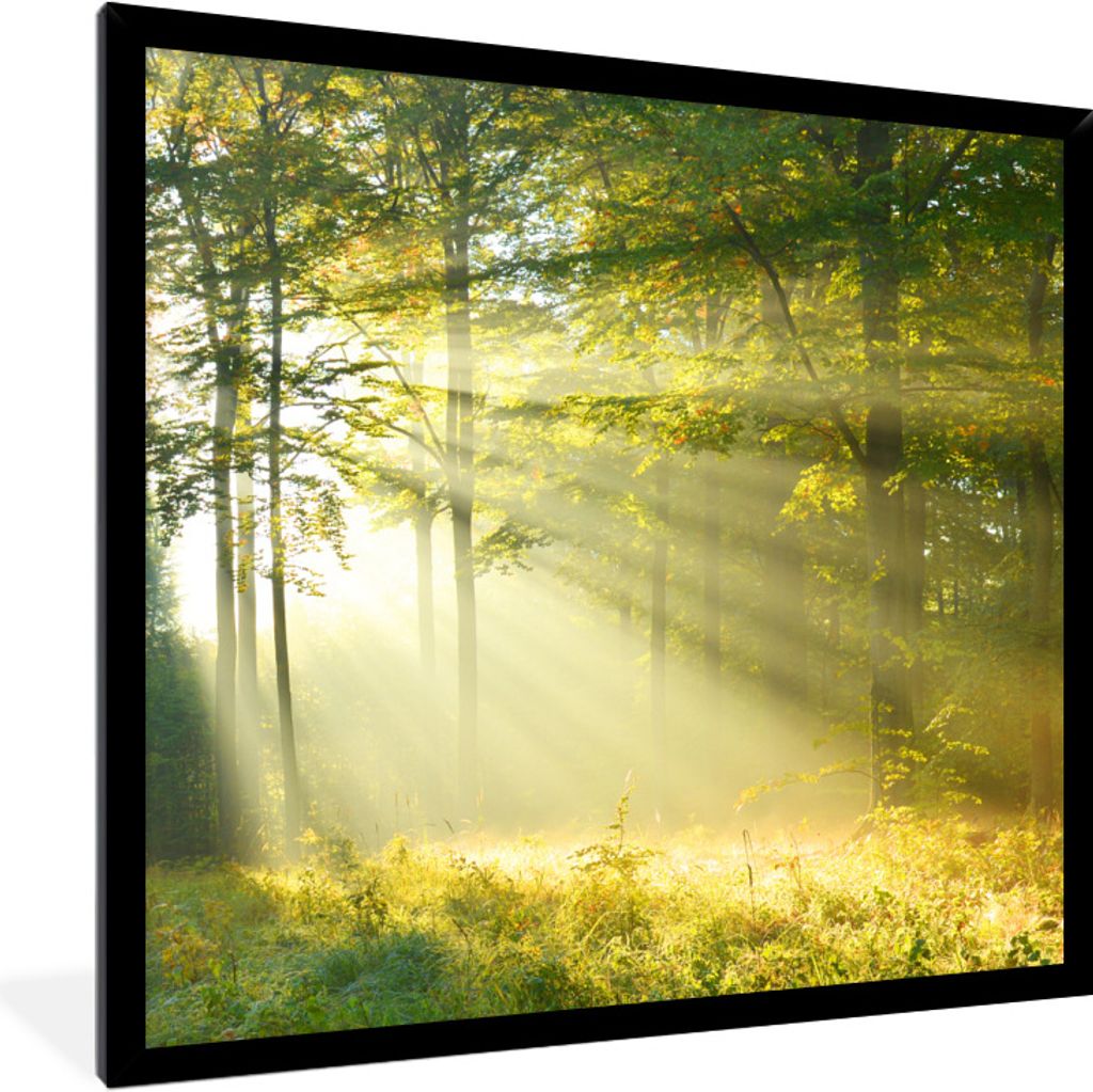 MuchoWow Gerahmtes Poster Wald - Licht - Frühling 40x40 cm - Poster mit Schwarzem Bilderrahmen Wandposter Rahmen Foto Bilder - Mit Rahmen - Wand...