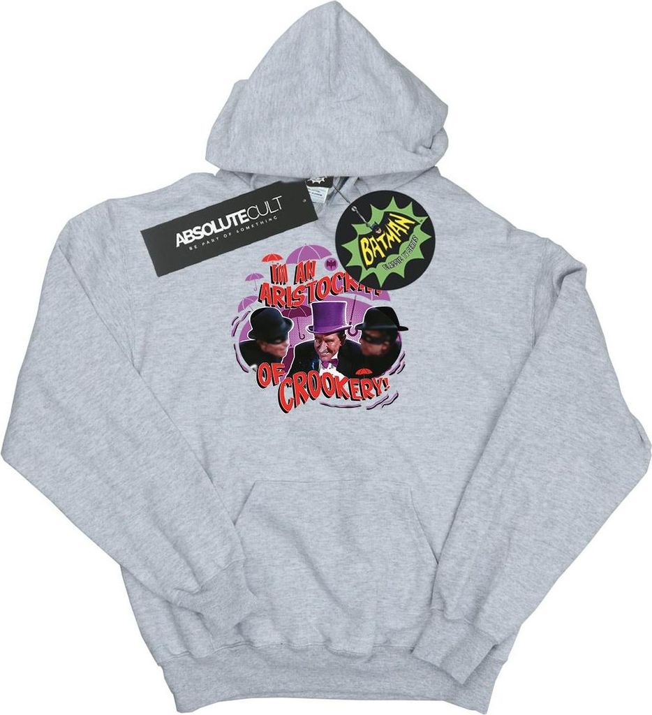 DC Comics - Kapuzenpullover für Herren BI5373 (M) (Grau)