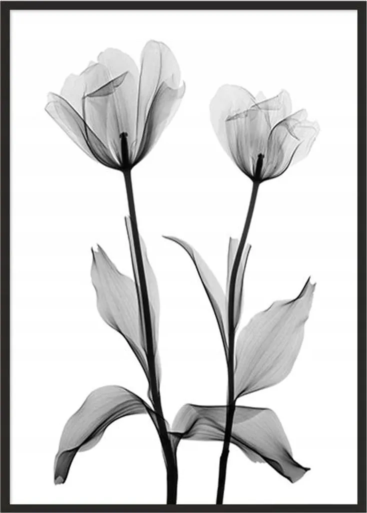 Poster fleurs encadré 53x73 cm P1042 - Solution déco murale prête à poser