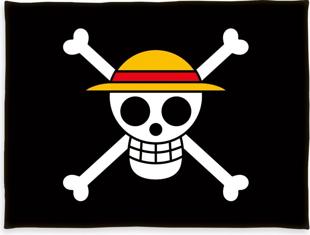 One Piece Couverture moelleuse Wellsoft Image du produit 