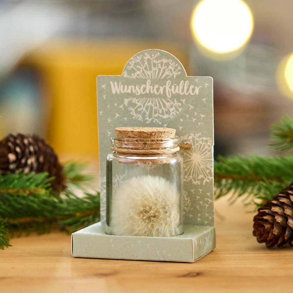 Wunscherfüller Pusteblume im Glas Geschenk und Geldgeschenk Geschenkidee