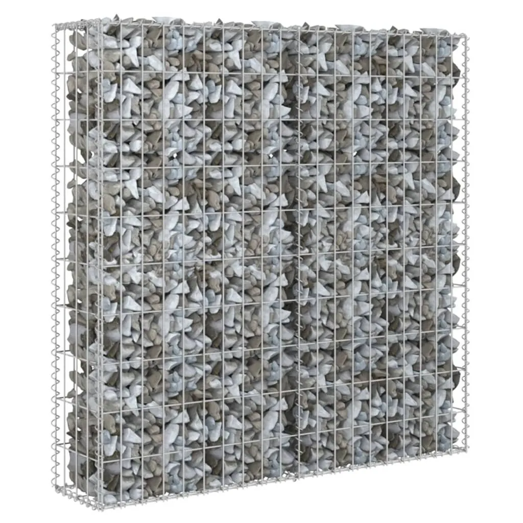 Gabion 80x20x100 cm Acier Galvanisé : Mur de soutènement sans entretien