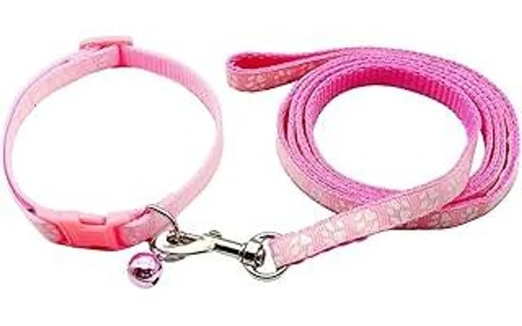 Set Passeggiata Black Style: Collare e Guinzaglio Nylon Cuccioli