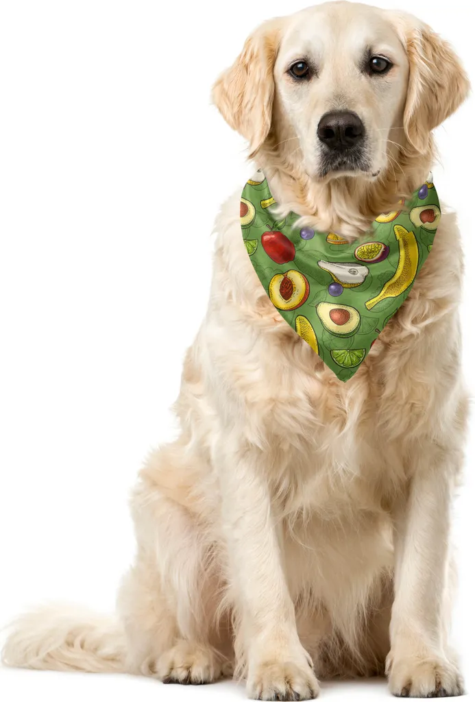 Bandana Animali ABAKUHAUS Frutta Multicolore 55x55 - Look Pet Instagrammabile