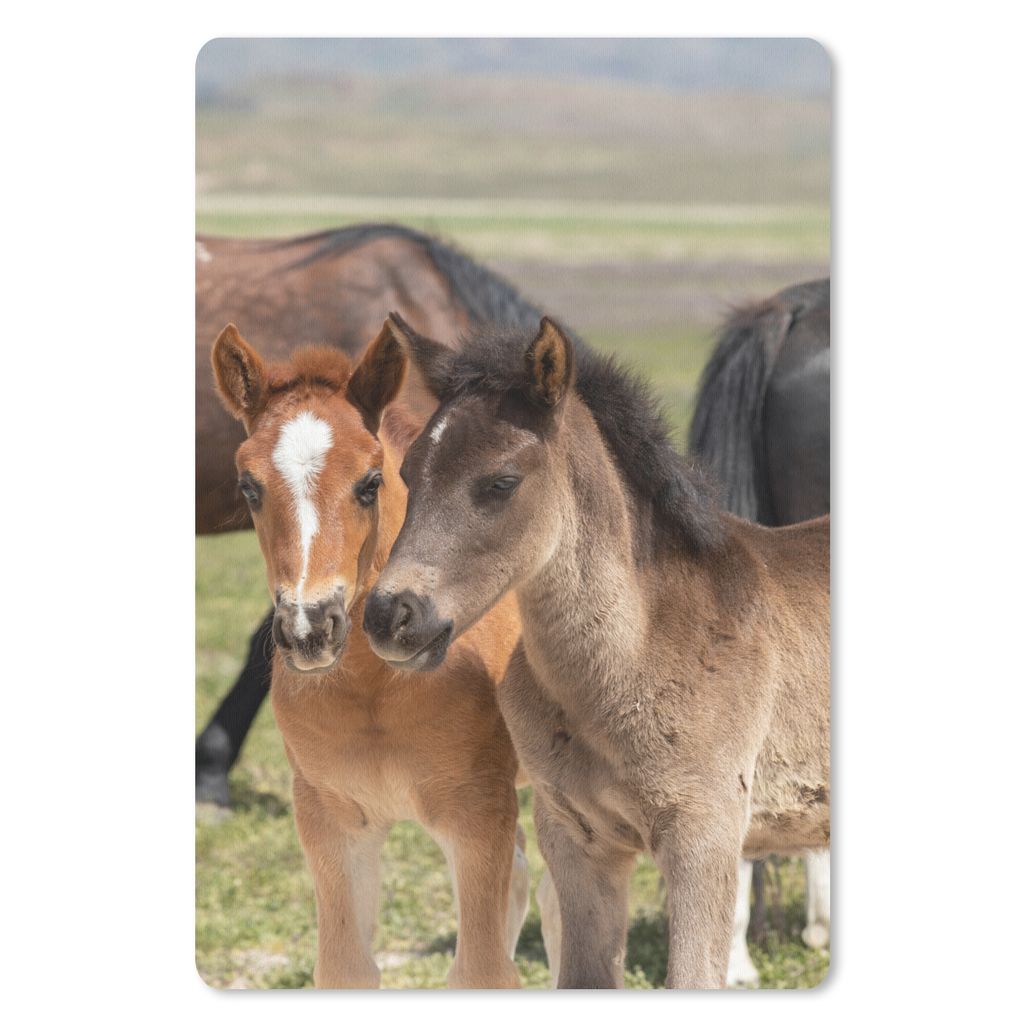 MuchoWow Mauspad Mousepad Pferde - Tiere - Vlies - Wiese 18x27 cm - Mousepads - Maus Mat - Pad - Mausunterlage