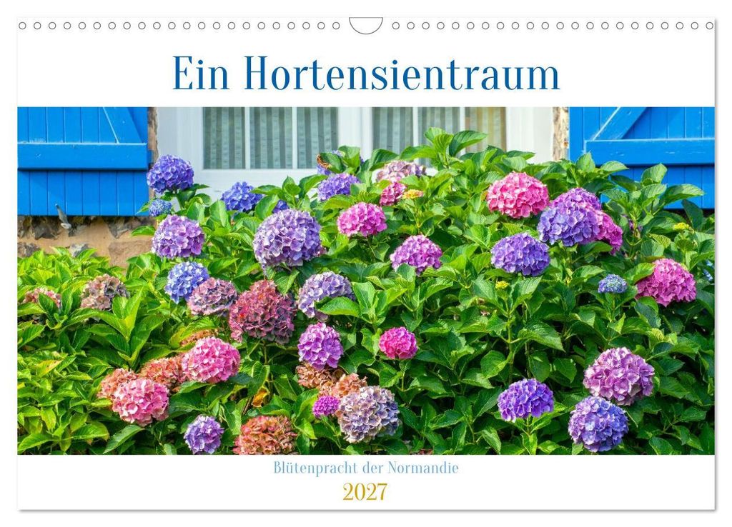 Ein Hortensientraum (Wandkalender 2027 DIN A3 quer), CALVENDO Monatskalender