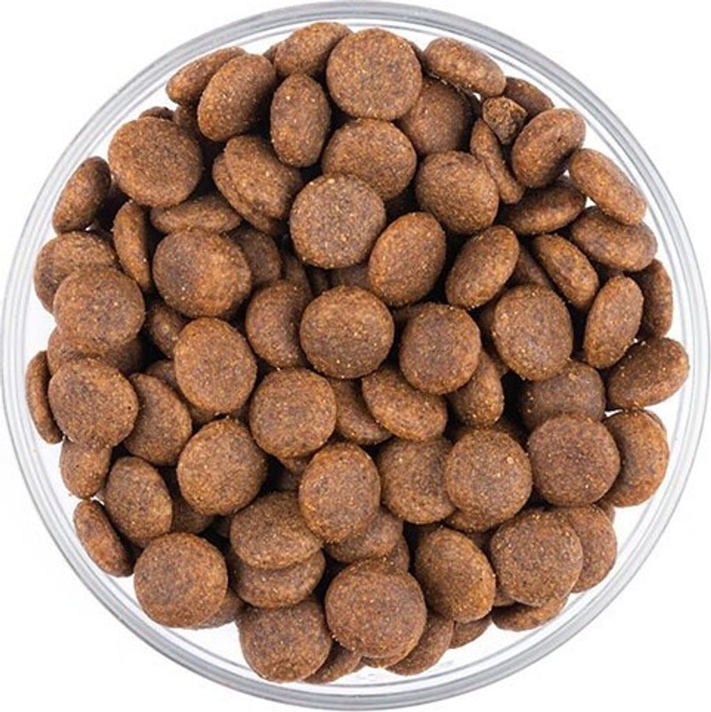 Starvita Trockenfutter für Hunde Senior 12kg Produktbild 