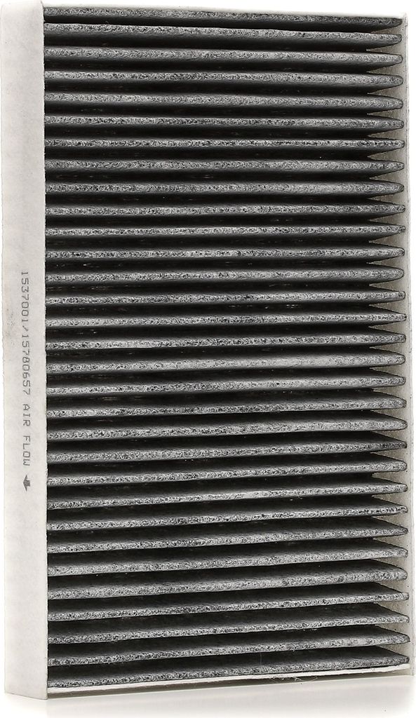 RIDEX 424I0482 - OE 100747900A Innenraumfilter für Model S (5YJS)