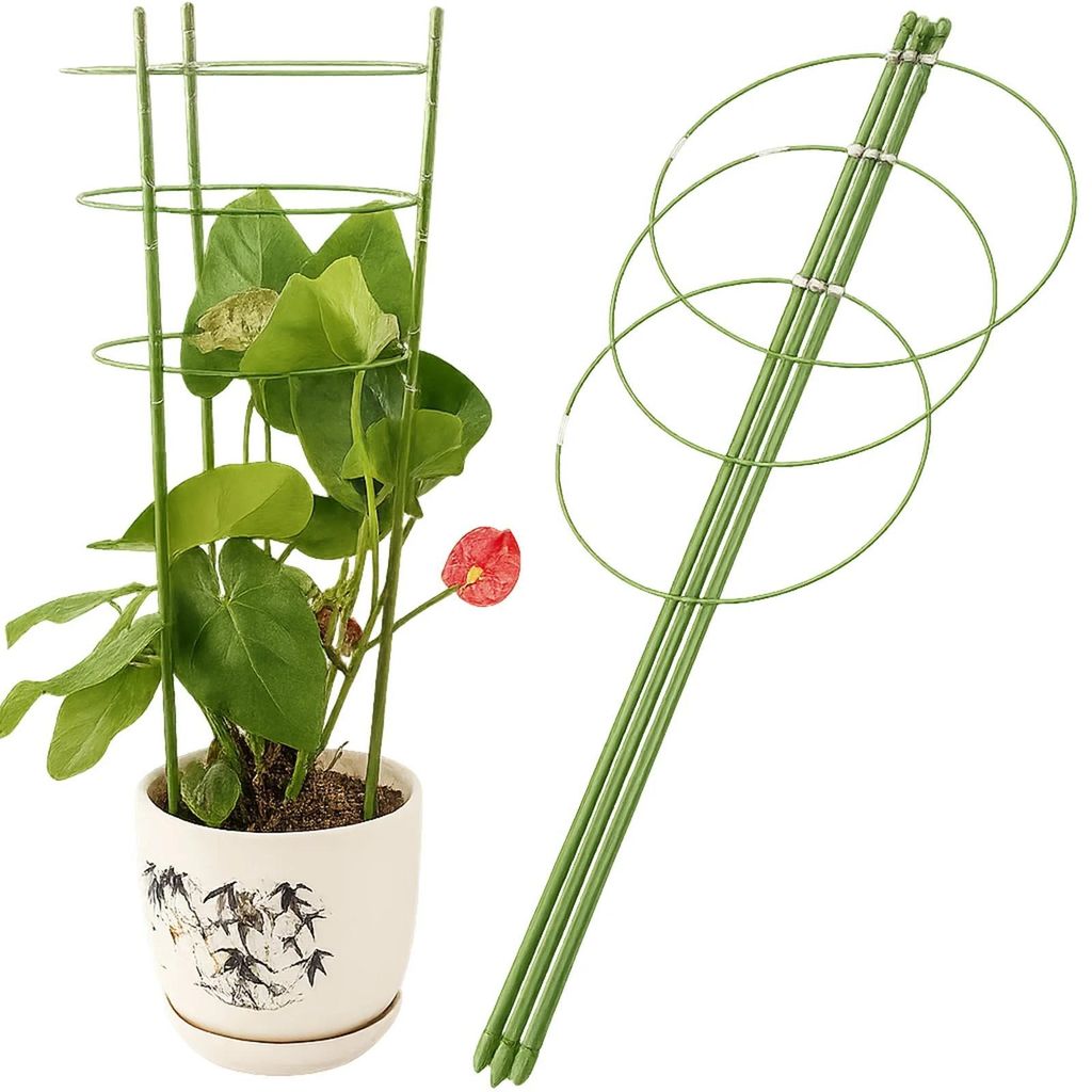 Podpora pierścieniowa do roślin kwiatów 60 cm stelaż Zdjęcie produktu 