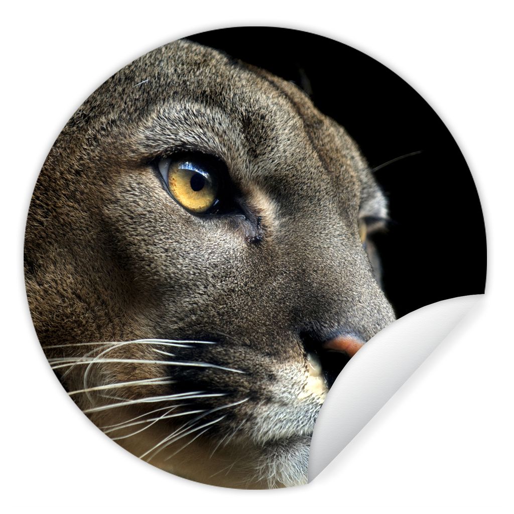 MuchoWow Runde Wandtattoo - Wandsticker Tapete Aufkleber Cougar - Augen - Schwarz Ø 30 cm Selbstklebend und Repositionierbar - Wandaufkleber - K...