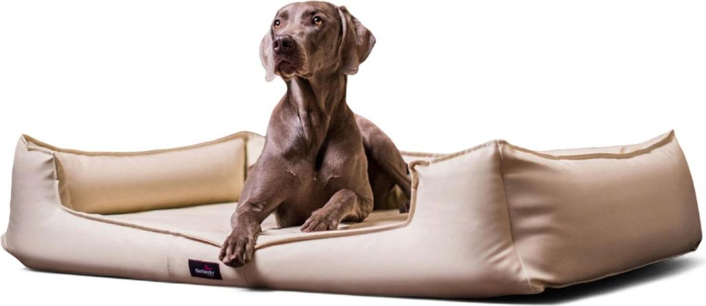 tierlando Orthopädisches Hundebett GOOFY Kunstleder >>inkl. Matratzenschoner<< - Größe: 130x100cm | Farbe: 05 Creme