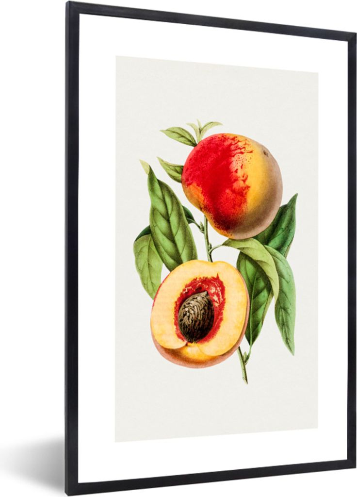 MuchoWow Gerahmtes Poster Lebensmittel - Pfirsich - Obst 20x30 cm - Poster mit Schwarzem Bilderrahmen Wandposter Rahmen Foto Bilder - Drucken - B...