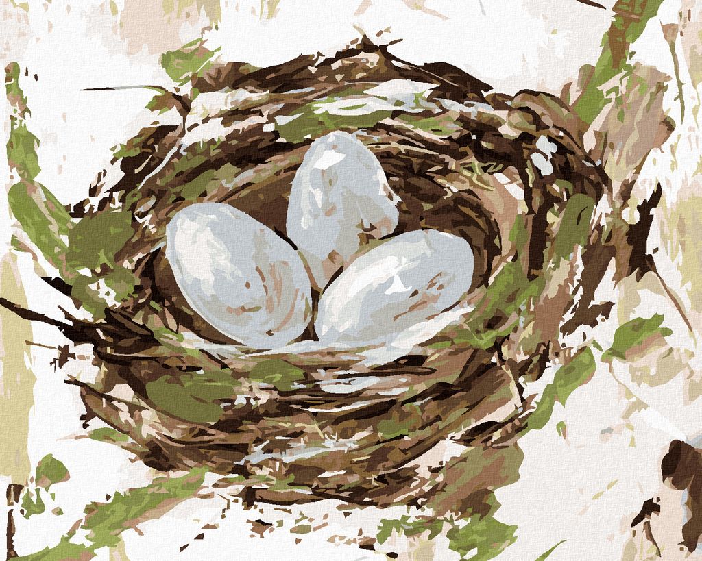 Zuty - Malen nach Zahlen - NEST MIT EIER (HALEY BUSH), 40x50 cm, mit Keilrahmen (bereits gespannt)