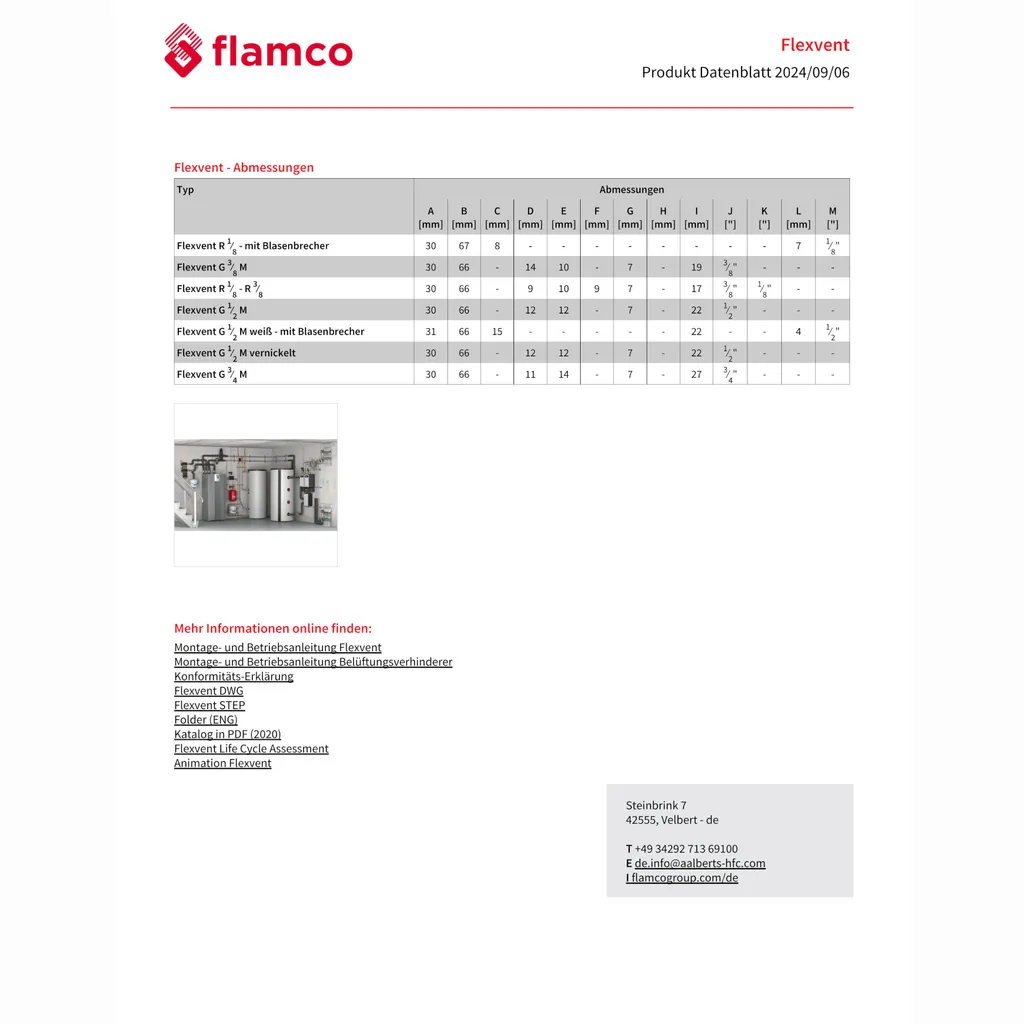 Aalberts Flexvent 3/8 : Purgeur en Laiton Robuste pour Circuit d'Eau - 7