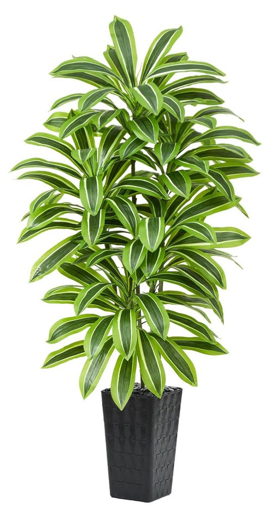 Künstliche Dracaena-Pflanze, künstlicher Baum mit weißem Topf, künstliche Yucca-Bodendecker im Topf, künstliche Bäume für Zuhause, Schlafzim...